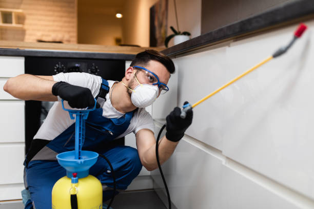 Best Best Pest Control Companies  in Sandia Knolls, NM