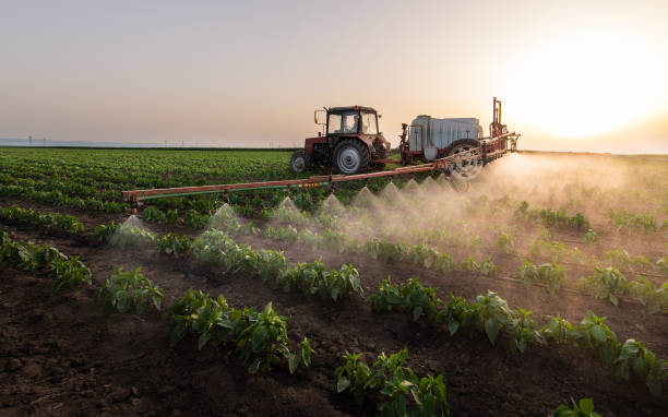 Best Commercial Pest Control Services  in Sandia Knolls, NM