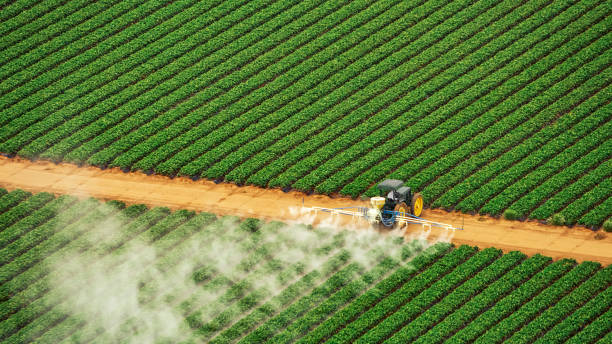 Best Pest Control for Homes  in Sandia Knolls, NM